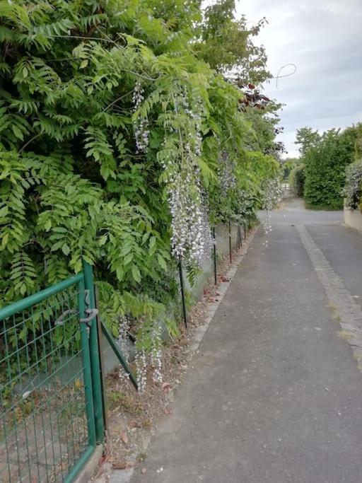 Maison Familiale Sur La Cote D'Emeraude Lancieux Zewnętrze zdjęcie